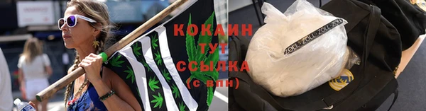 хмурый Снежногорск