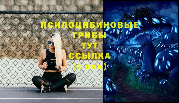 mdpv Балахна